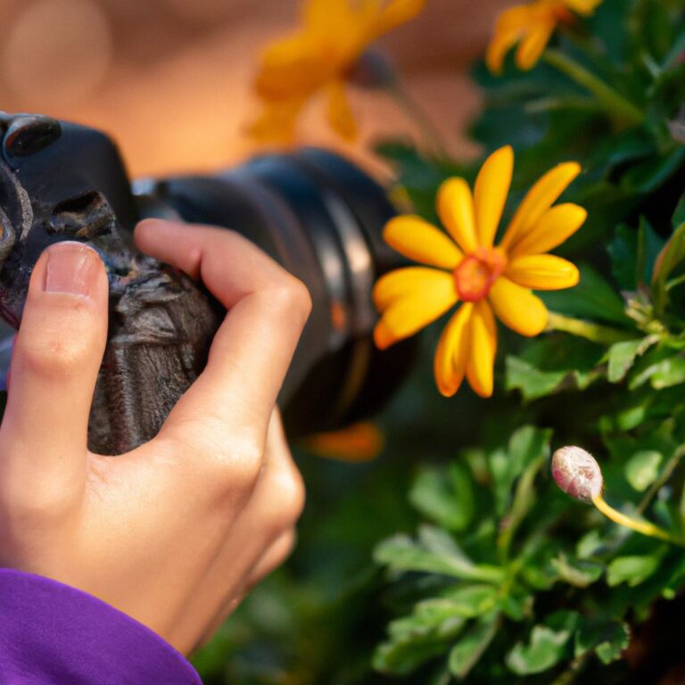 Tips For Capturing Sharp Images With A Digital Camera