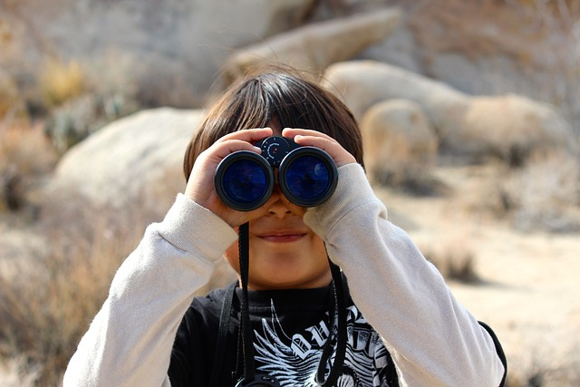 The Ultimate Guide to Binoculars for Bird Watchers (2024)